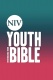 NIV - Youth Bible Hardback 
